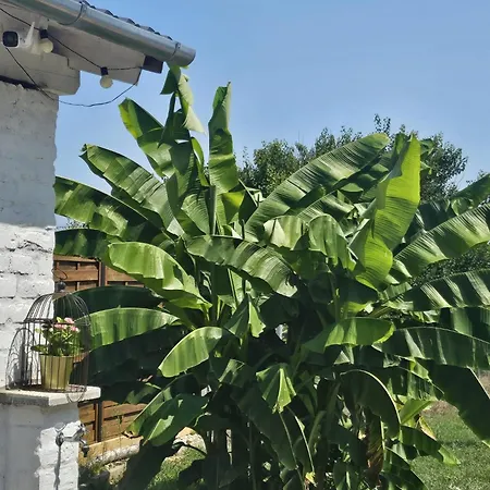 Urlaub In Den Weinbergen * Надьканижа