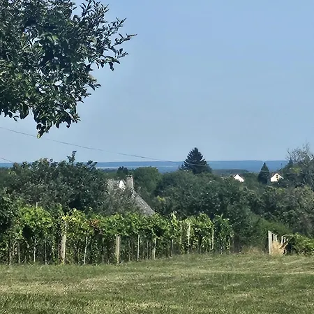 Urlaub In Den Weinbergen Дом отдыха *