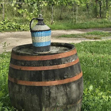 Дом отдыха Urlaub In Den Weinbergen *